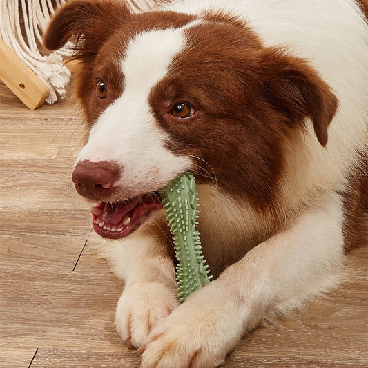 Chew Toys For Dog Teeth Cleaning. - BARK&BLİSS