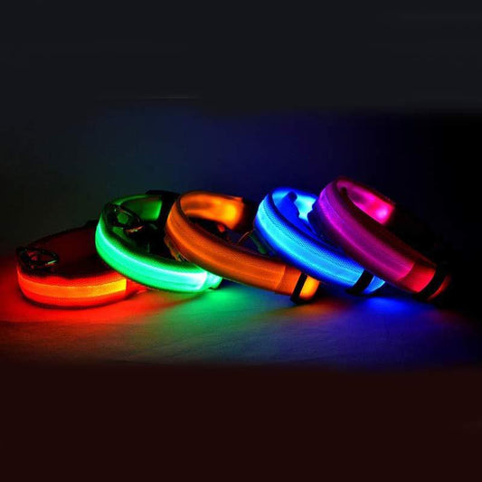 LED Pet Collar & Leash - Adjustable, Luminous, Night Safety. - BARK&BLİSS