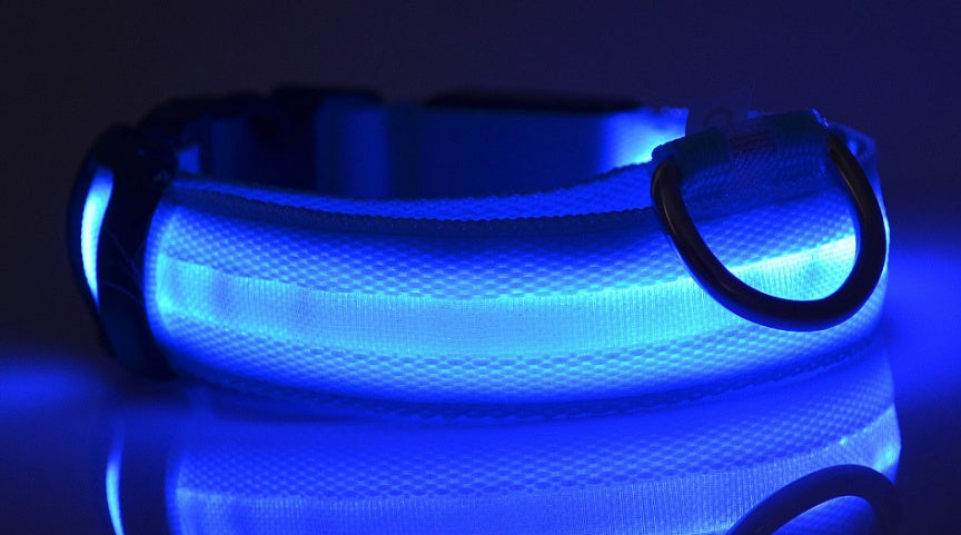 LED Pet Collar & Leash - Adjustable, Luminous, Night Safety. - BARK&BLİSS